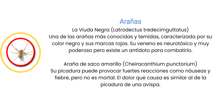 Arañas La Viuda Negra (Latrodectus tredecimguttatus) Una de las arañas más conocidas y temidas, caracterizada por su color negro y sus marcas rojas. Su veneno es neurotóxico y muy poderoso pero existe un antídoto para combatirlo.  Araña de saco amarillo (Cheiracanthium punctorium) Su picadura puede provocar fuertes reacciones como náuseas y fiebre, pero no es mortal. El dolor que causa es similar al de la picadura de una avispa.
