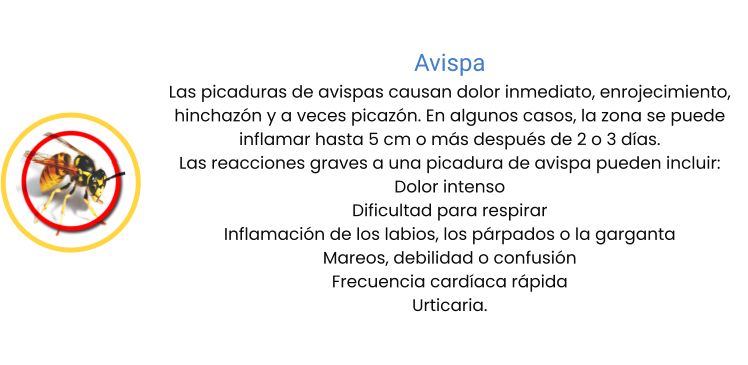 Avispa Las picaduras de avispas causan dolor inmediato, enrojecimiento, hinchazón y a veces picazón. En algunos casos, la zona se puede inflamar hasta 5 cm o más después de 2 o 3 días.  Las reacciones graves a una picadura de avispa pueden incluir: Dolor intenso Dificultad para respirar Inflamación de los labios, los párpados o la garganta Mareos, debilidad o confusión Frecuencia cardíaca rápida Urticaria.