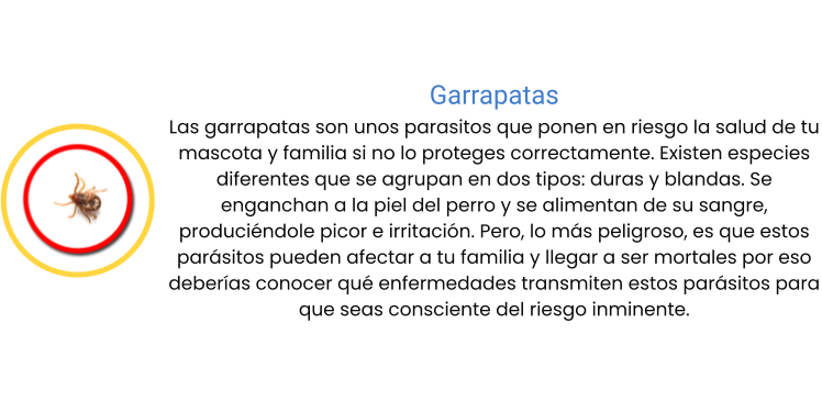 Garrapatas Las garrapatas son unos parasitos que ponen en riesgo la salud de tu mascota y familia si no lo proteges correctamente. Existen especies diferentes que se agrupan en dos tipos: duras y blandas. Se enganchan a la piel del perro y se alimentan de su sangre, produciéndole picor e irritación. Pero, lo más peligroso, es que estos parásitos pueden afectar a tu familia y llegar a ser mortales por eso deberías conocer qué enfermedades transmiten estos parásitos para que seas consciente del riesgo inminente.