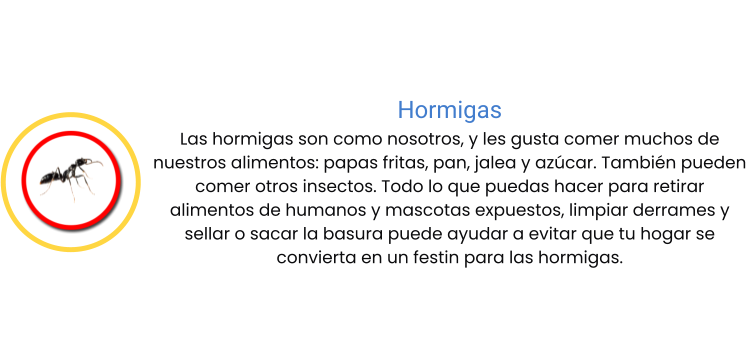 Hormigas Las hormigas son como nosotros, y les gusta comer muchos de nuestros alimentos: papas fritas, pan, jalea y azúcar. También pueden comer otros insectos. Todo lo que puedas hacer para retirar alimentos de humanos y mascotas expuestos, limpiar derrames y sellar o sacar la basura puede ayudar a evitar que tu hogar se convierta en un festin para las hormigas.