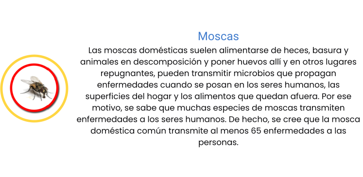 Moscas Las moscas domésticas suelen alimentarse de heces, basura y animales en descomposición y poner huevos allí y en otros lugares repugnantes, pueden transmitir microbios que propagan enfermedades cuando se posan en los seres humanos, las superficies del hogar y los alimentos que quedan afuera. Por ese motivo, se sabe que muchas especies de moscas transmiten enfermedades a los seres humanos. De hecho, se cree que la mosca doméstica común transmite al menos 65 enfermedades a las personas.