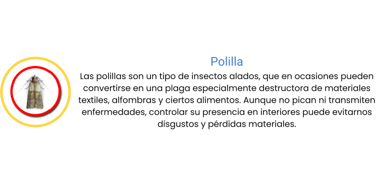 Polilla Las polillas son un tipo de insectos alados, que en ocasiones pueden convertirse en una plaga especialmente destructora de materiales textiles, alfombras y ciertos alimentos. Aunque no pican ni transmiten enfermedades, controlar su presencia en interiores puede evitarnos disgustos y pérdidas materiales.