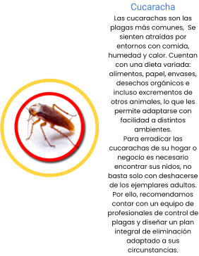 Cucaracha Las cucarachas son las plagas más comunes,  Se sienten atraídas por entornos con comida, humedad y calor. Cuentan con una dieta variada: alimentos, papel, envases, desechos orgánicos e incluso excrementos de otros animales, lo que les permite adaptarse con facilidad a distintos ambientes. Para erradicar las cucarachas de su hogar o negocio es necesario encontrar sus nidos, no basta solo con deshacerse de los ejemplares adultos. Por ello, recomendamos contar con un equipo de profesionales de control de plagas y diseñar un plan integral de eliminación adaptado a sus circunstancias.