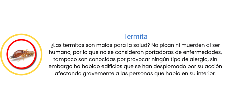 Termita ¿Las termitas son malas para la salud? No pican ni muerden al ser humano, por lo que no se consideran portadoras de enfermedades, tampoco son conocidas por provocar ningún tipo de alergia, sin embargo ha habido edificios que se han desplomado por su acción afectando gravemente a las personas que había en su interior.